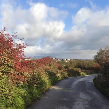 Unique, Cosy, District Artist Hideaway - 5 Bd Holiday home